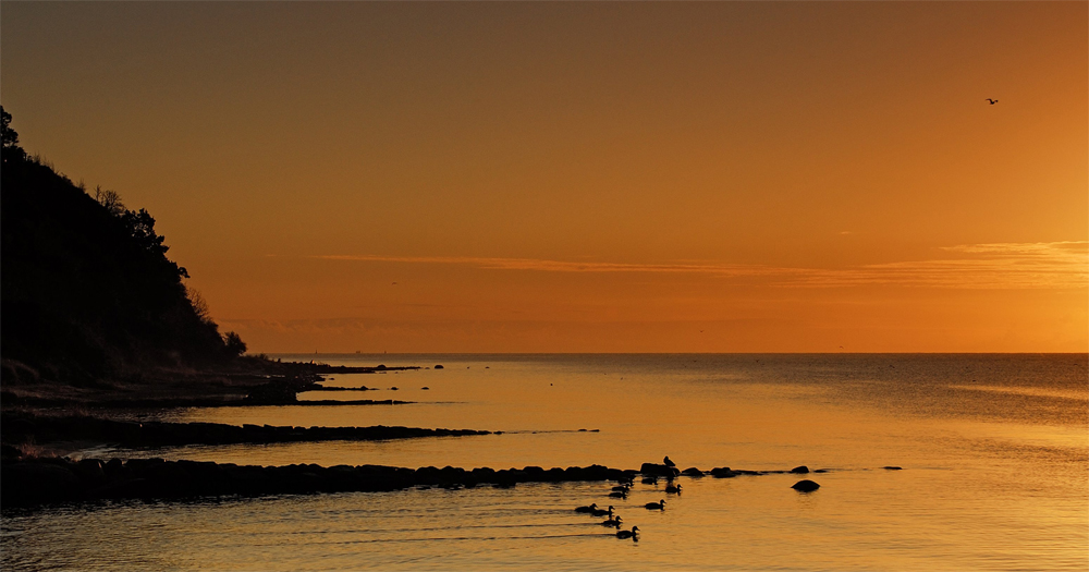 Early Morning Race - Frühmorgentliches Schwimmsport