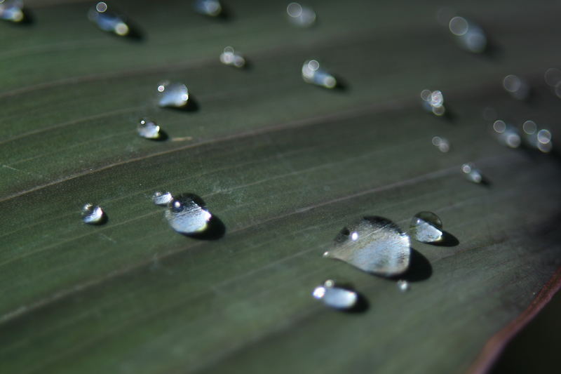 early morning rain2