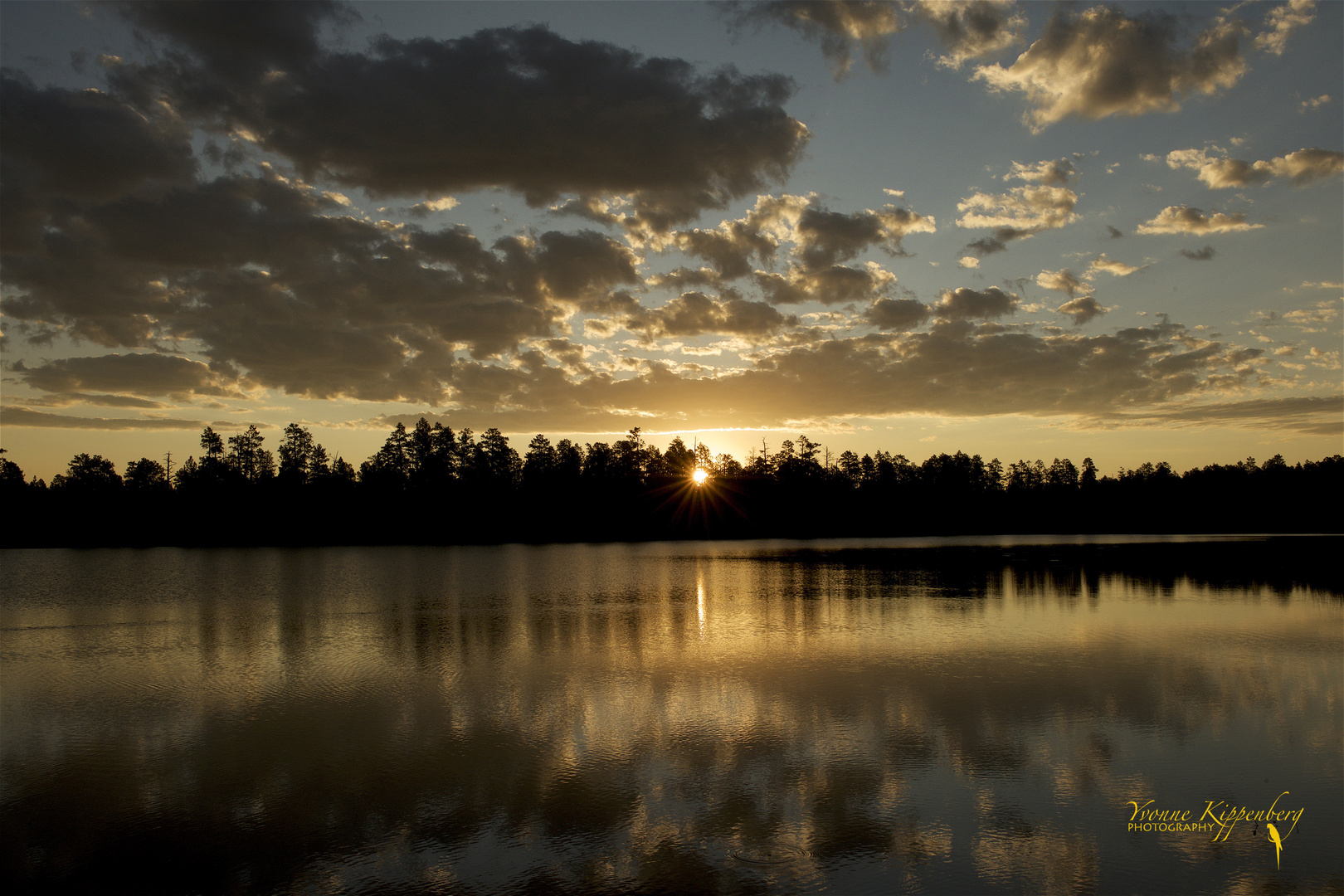 Early morning reflection !