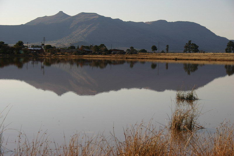 Early morning reflections