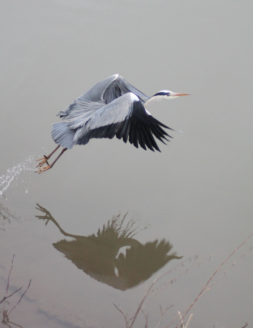 Early morning take-off