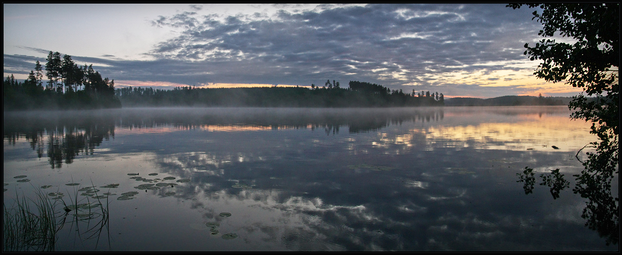 Early Morning View