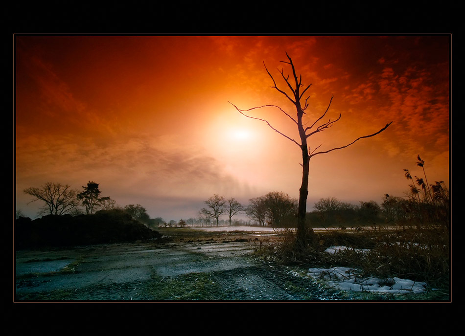 Early spring in South Bohemia