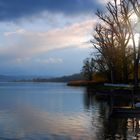 early spring @ Lake Constance, Germany (Marbach Castle)