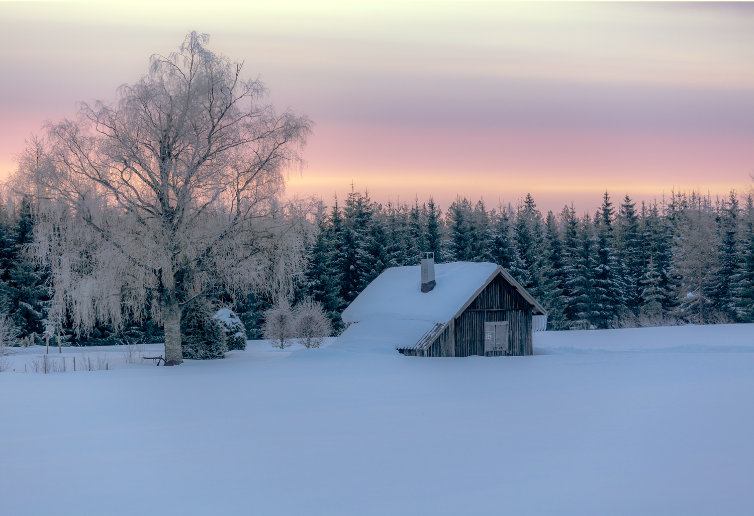 Early spring morning