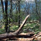 Early Spring on Sugarloaf Mountain