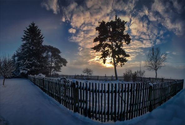 ''Early winter morning''   