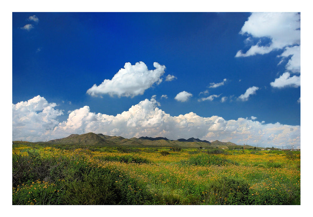 Earth and Sky