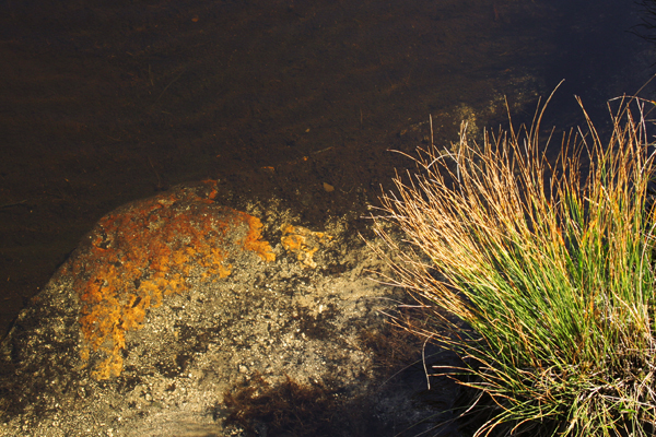 earth colours