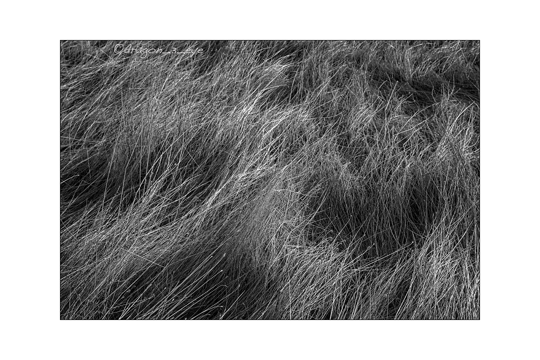Earth Hair One 2