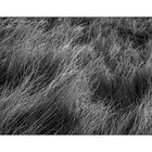 Earth Hair One 2