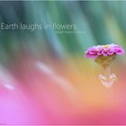 Earth laughs in flowers