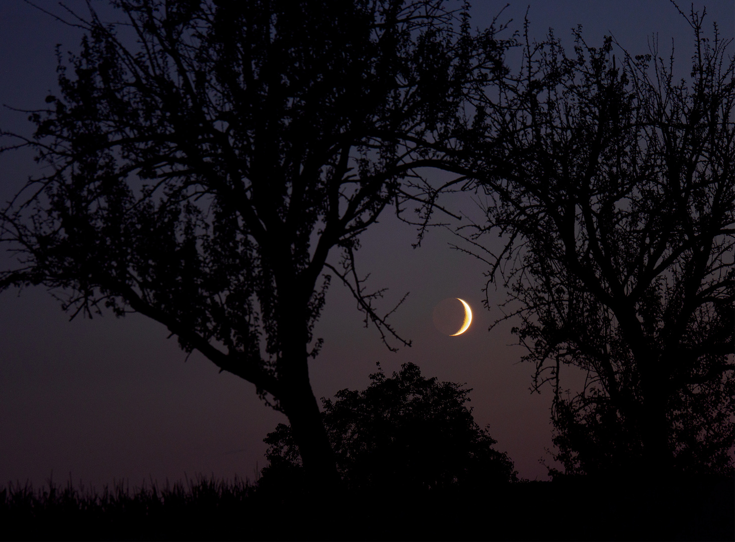 Earthshine 