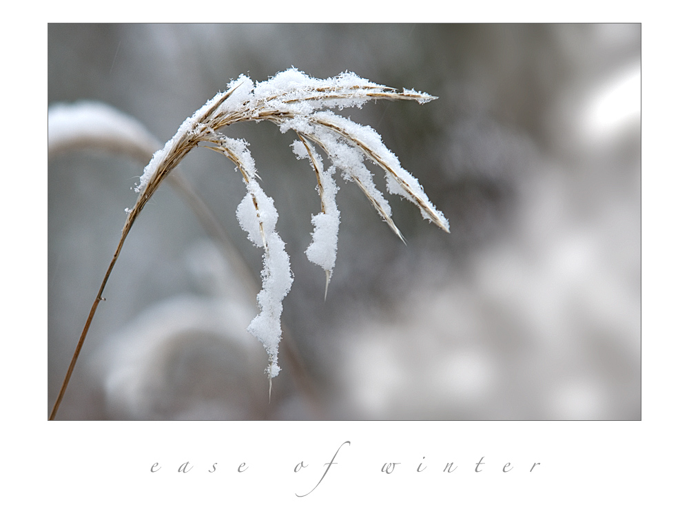 Ease of Winter