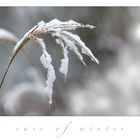 Ease of Winter