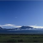 East Africa - Kenya - Amboseli - Kilimanjaro