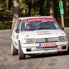 East Belgian Rally 2021 Part 61