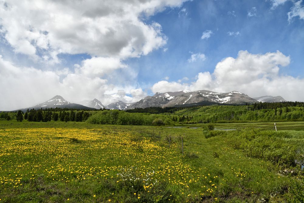 east glacier