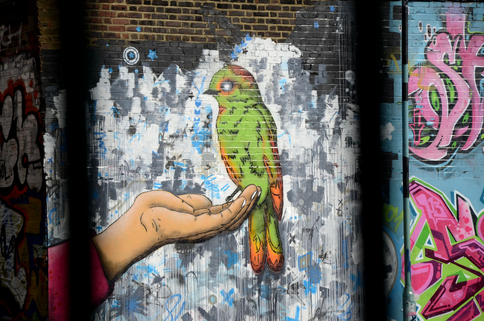 East London 2013 budgie