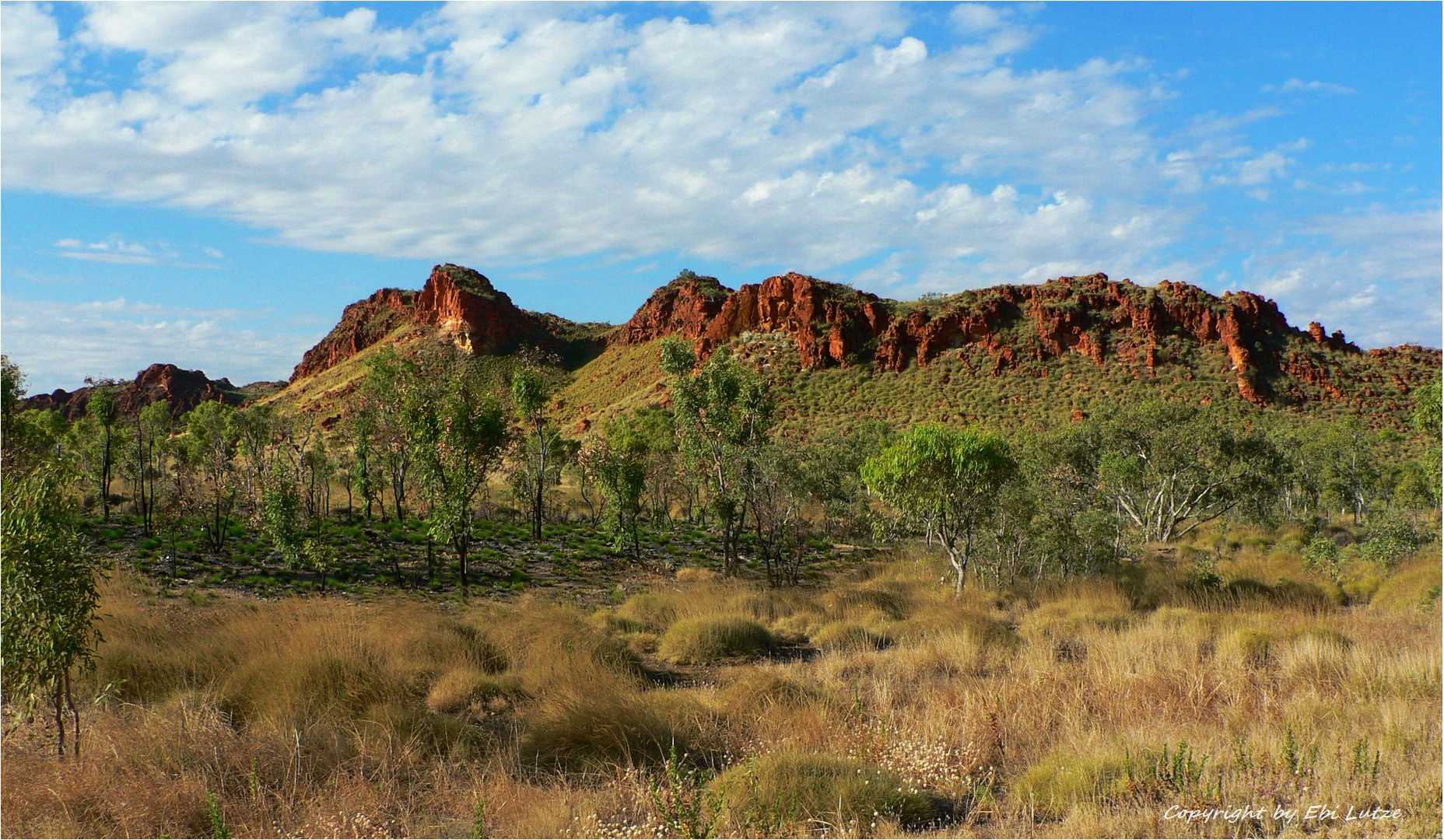 * east of Fitzroy Crossing *