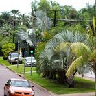 East Point Road, Fannie Bay II