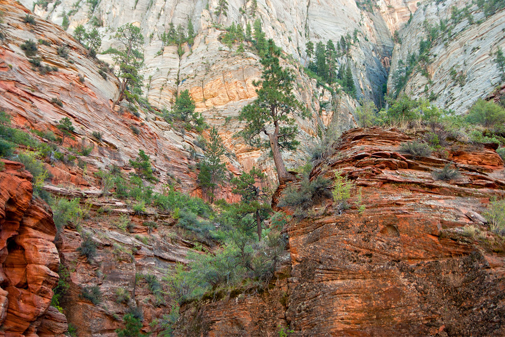 East Rim Trail - Utah