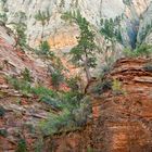 East Rim Trail - Utah