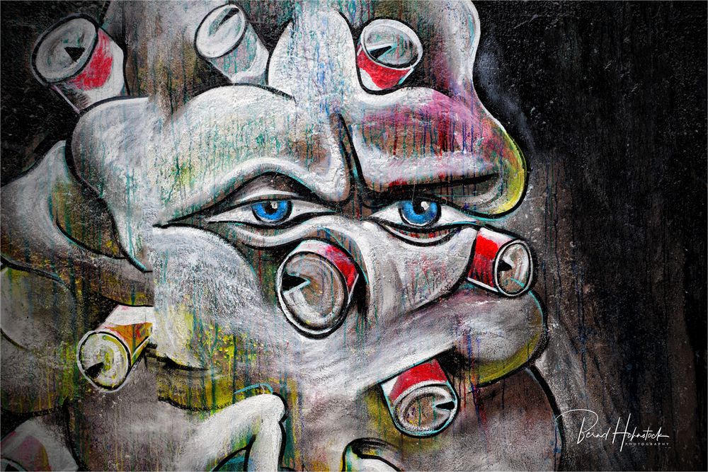 East Side Gallery .............