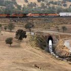 Eastbound Freight Train of BNSF at Tehachapi Loop