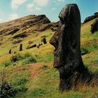 Easter Island - Moai