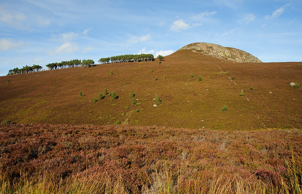 Easter Ross Foto & Bild europe, united kingdom & ireland, scotland