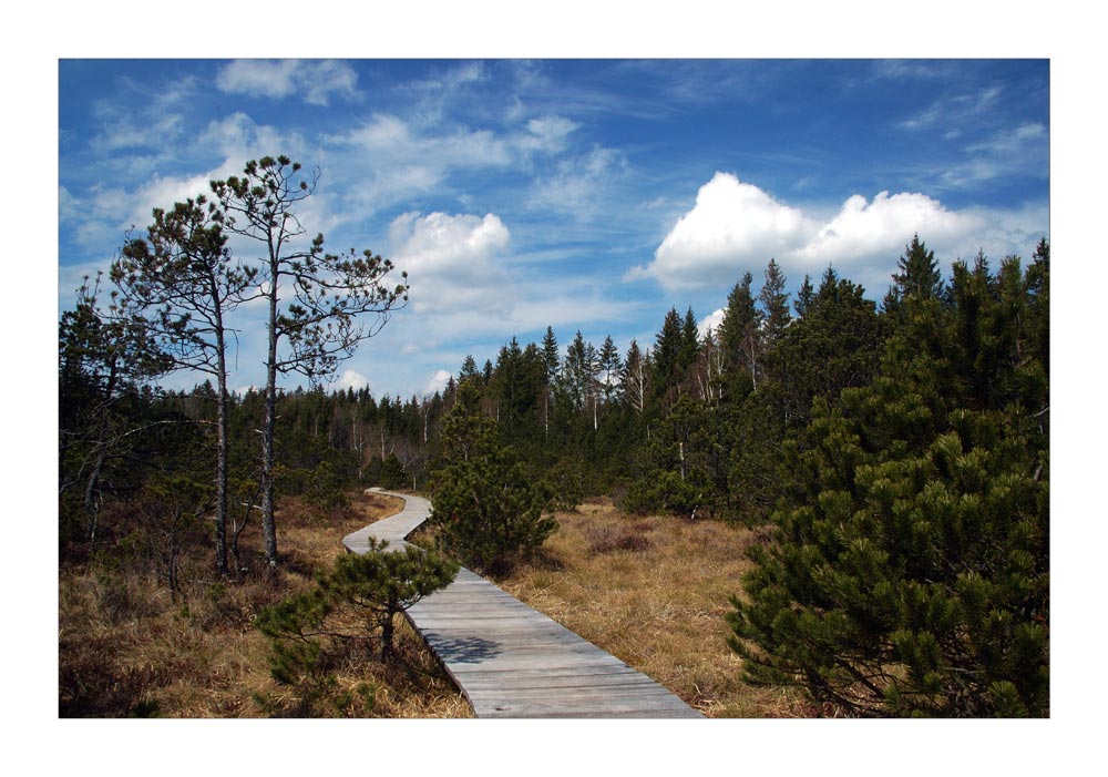 Easter walk - Osterspaziergang