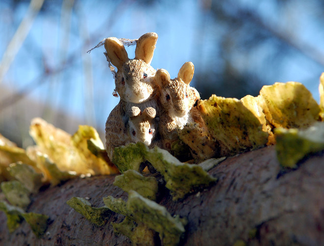 Eastermushrooms