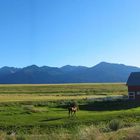 Eastern Oregon - Red Barn