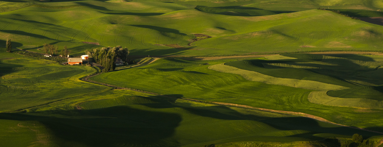 Eastern Washington in Spring