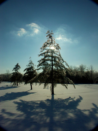 EastFork Park im Winter