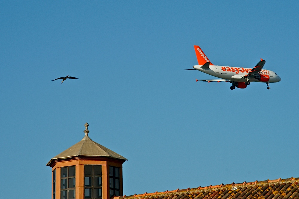 Easyjet