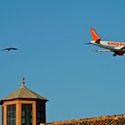 Easyjet