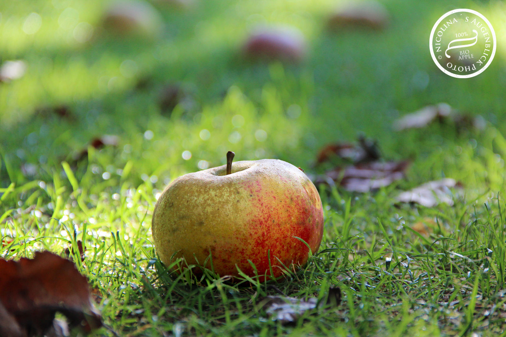 eat a apple a day to keep the doctor away