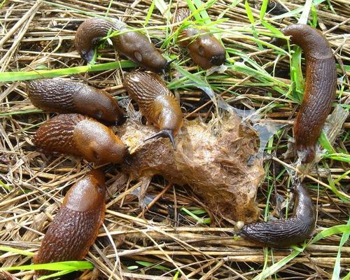 ---------------------------------eat-------------------------------shit-------!!!--------