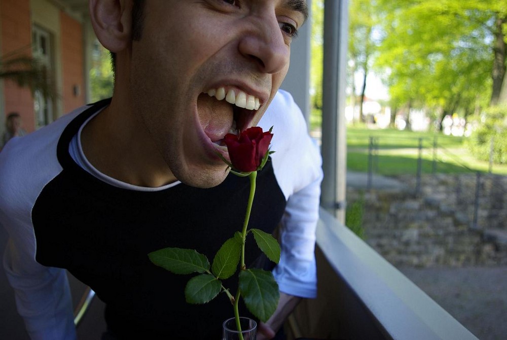 Eating a Rose