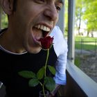 Eating a Rose