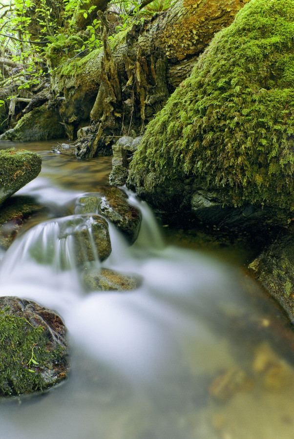 eau courante