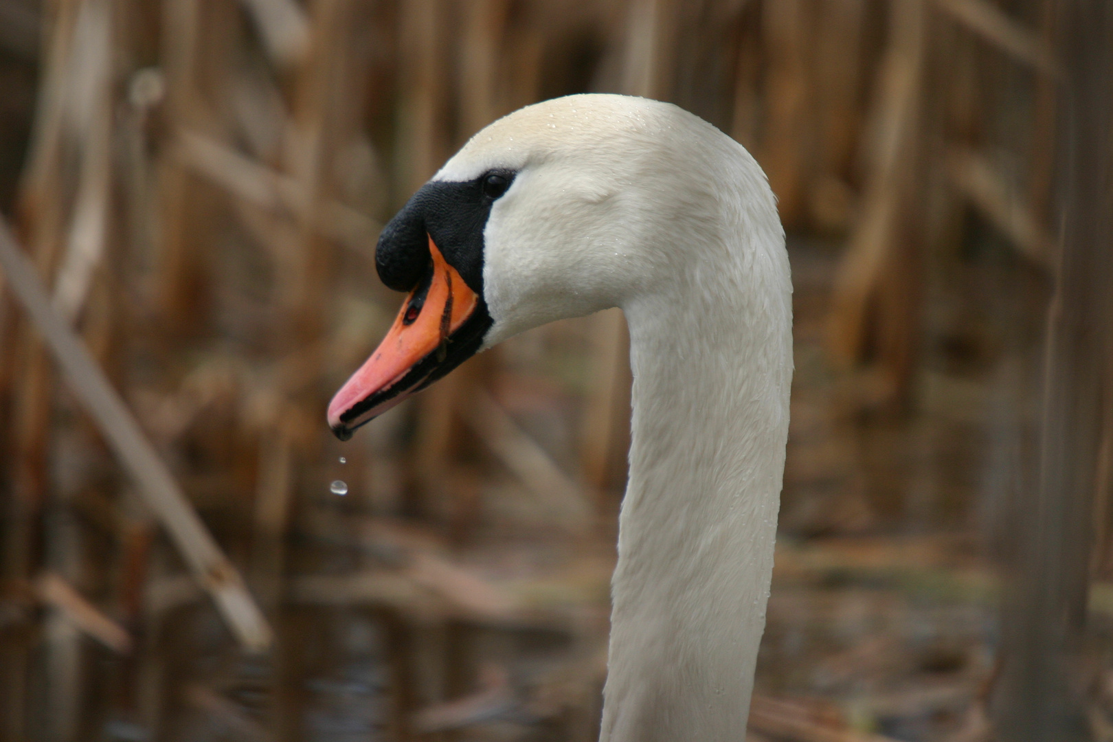 eau et signe