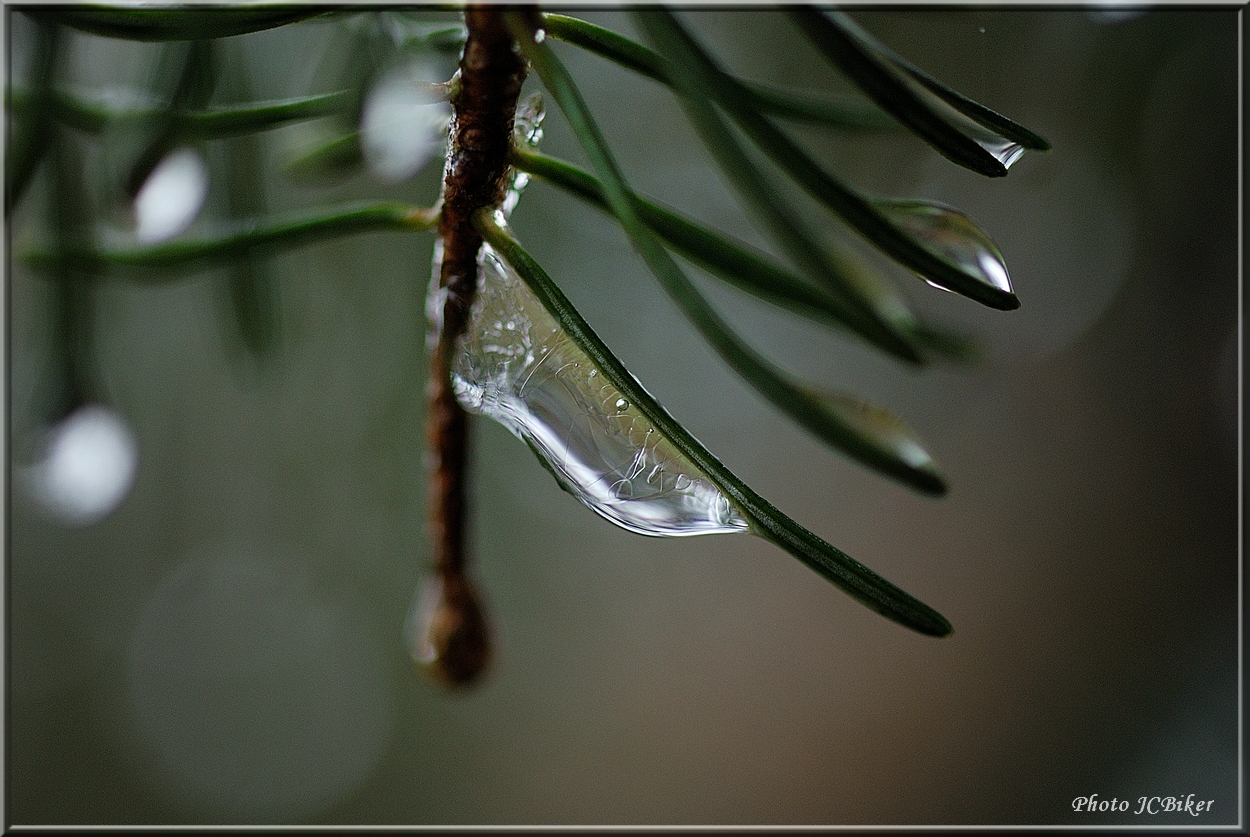 Eau glacée