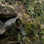 eau, la terre, la lumière ... 