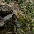 eau, la terre, la lumière ... 