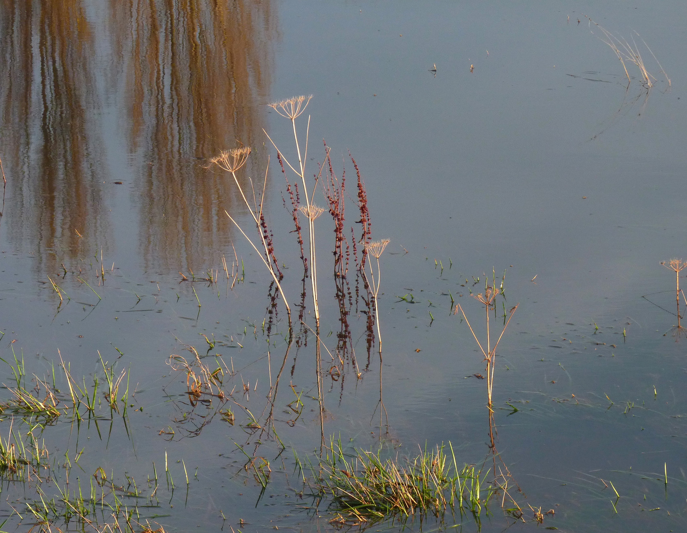 Eau précieuse.