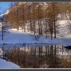 Eaux tièdes en hiver !