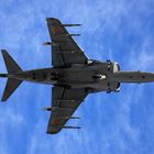 EAV-8B Harrier II+ (VA.1B-29 / 01-919)